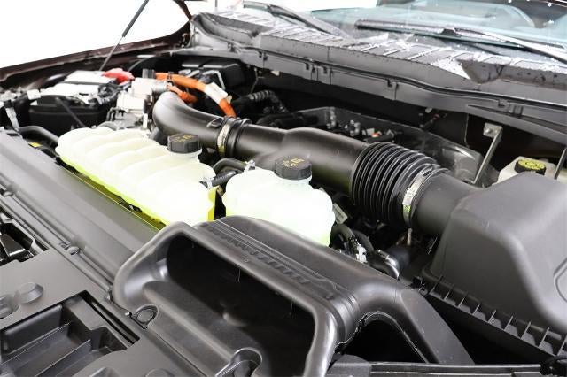 2025 Ford F-150 XLT Demo