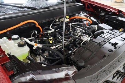 2026 Ford Maverick XLT Demo