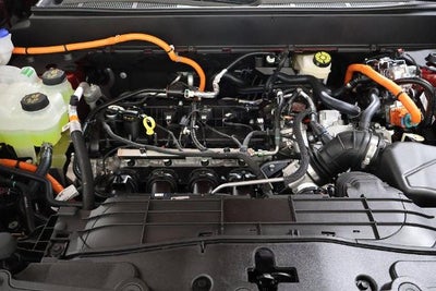 2026 Ford Maverick XLT Demo