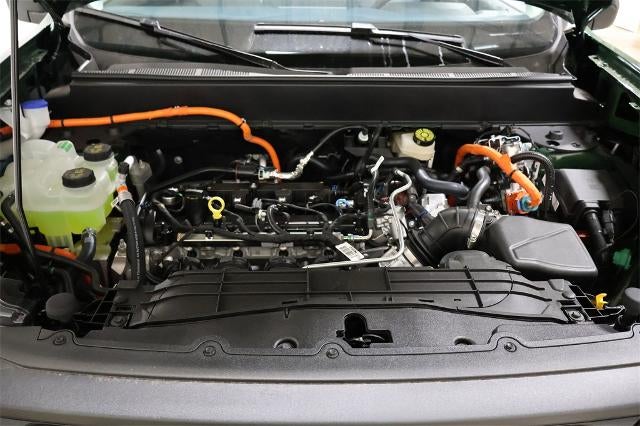 2025 Ford Maverick XLT Demo