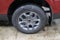 2026 Ford Maverick XLT Demo