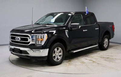 2023 Ford F-150 XLT 4WD SuperCrew 5.5' Box