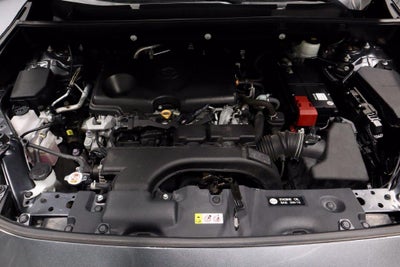 2020 Toyota RAV4 XLE AWD (Natl)