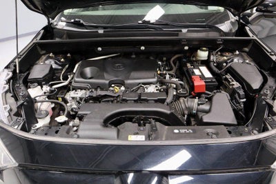 2019 Toyota RAV4 Limited AWD (GS)