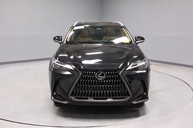 2024 Lexus NX 250 250 Premium
