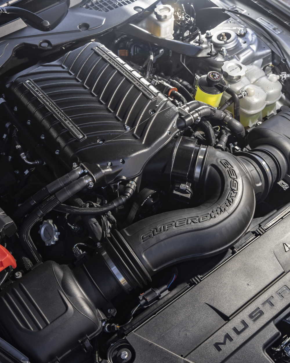 Whipple Supercharger Detail