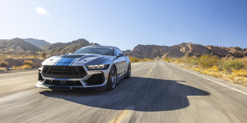 Gallery Image 7