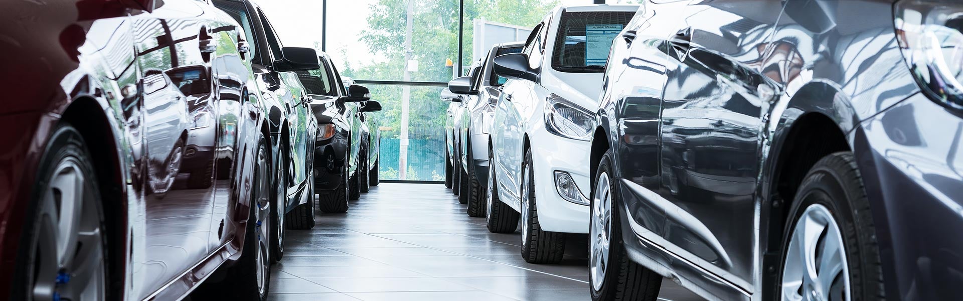 A row of shiny cars displayed in a modern showroom, showcasing various colors and models.
